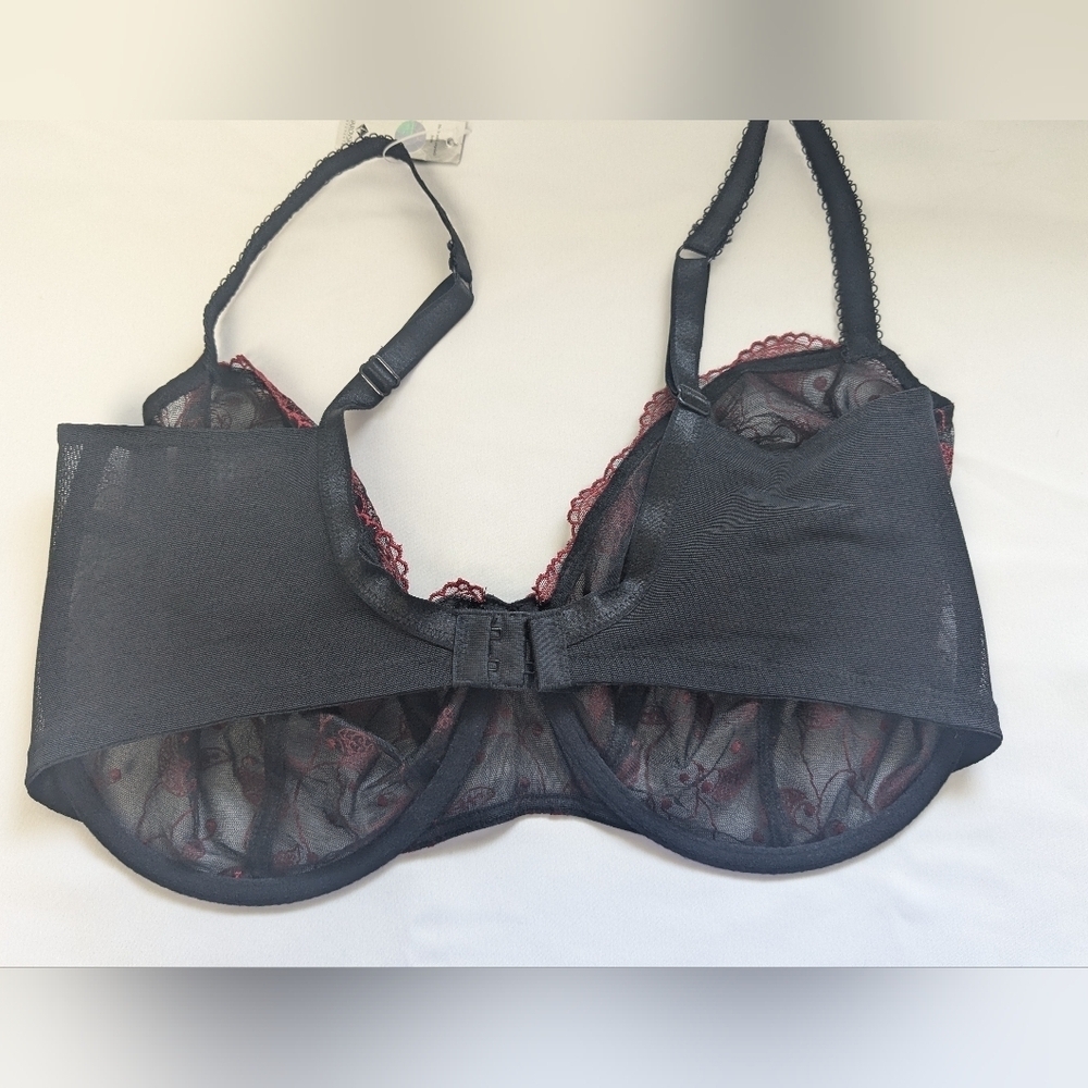 Panache Black Bra with Red Floral Embroidery - Picture 5 of 8